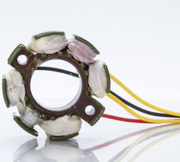 RICKS 电路装置 STATOR