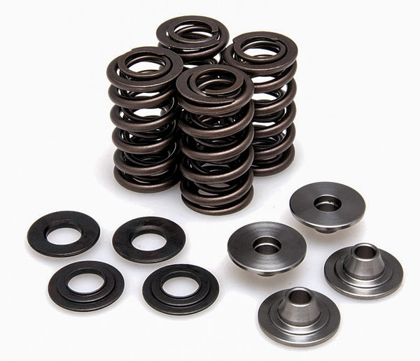 KPMI 发动机 RACINGVALVE SPRING KIT