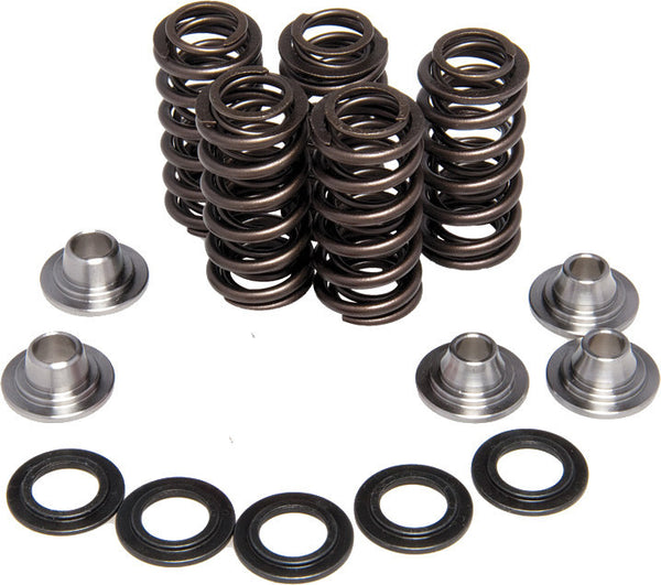 KPMI 发动机 RACING VALVE SPRING KIT