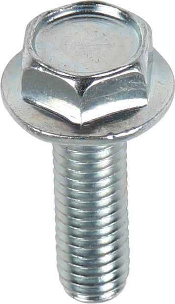 BOLT 五金件 M6 10mm Hex Flange Bolts
