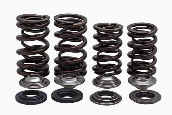 KPMI 发动机 RACING VALVE SPRING KIT