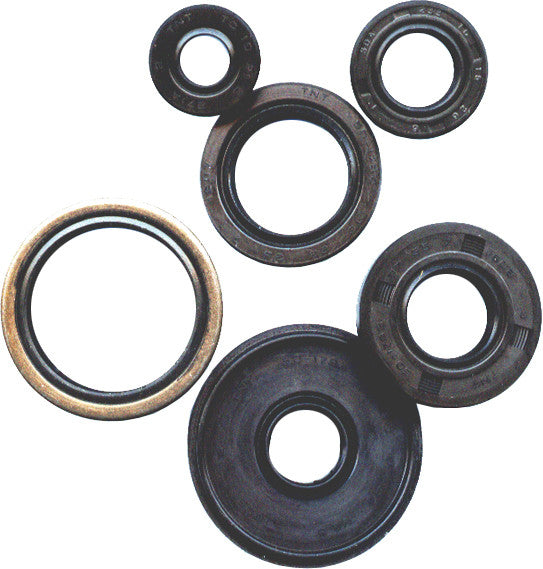 VERTEX 油封 OIL SEAL SET