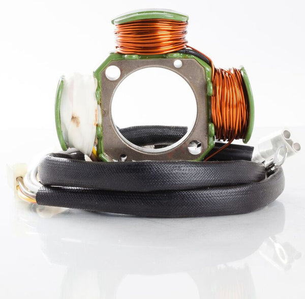 RICKS 电路装置 STATOR