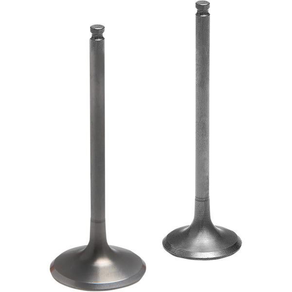 KPMI 发动机 INTAKE TI VALVE