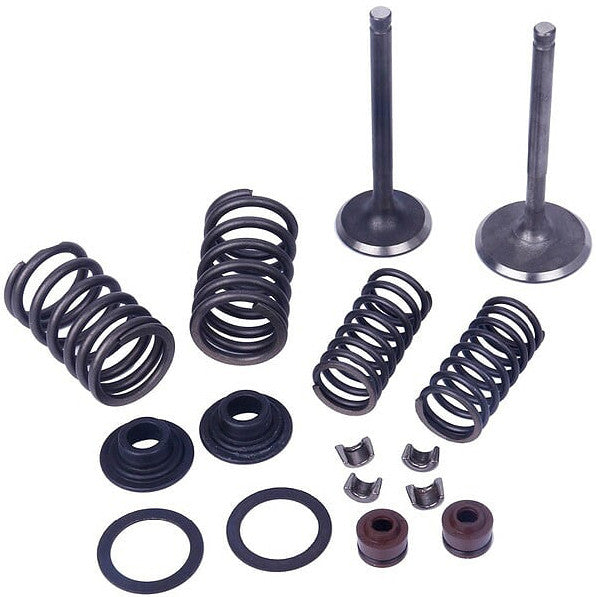 MOGO PARTS 发动机 Vertical Engine Valve Kit