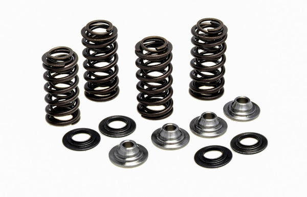 KPMI 发动机 RACING VALVE SPRING KIT