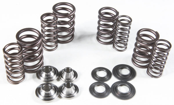 KPMI 发动机 RACING VALVE SPRING KIT