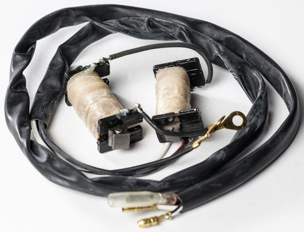 RICKS 电路装置 STATOR KIT