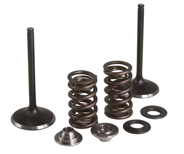 KPMI 发动机 INTAKE VALVE/SPRING KIT STAINLESS 钢制 YAM