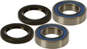 ALL Balls 车轮轴承和密封套件 KTM 85-600 | Husqvarna 85-500 | Gas Gas 85-450 | Honda 750 | Kawasaki 600-2000 | Suzuki 1600 | BMW 1000-1600