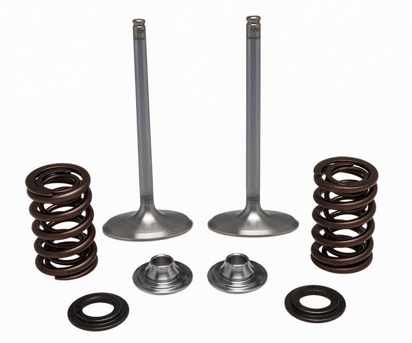 KPMI 发动机 SS INTAKE VALVE/SPRING KIT
