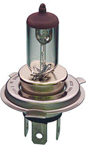 CANDLEPOWER 照明 H-4 Halogen Bulb