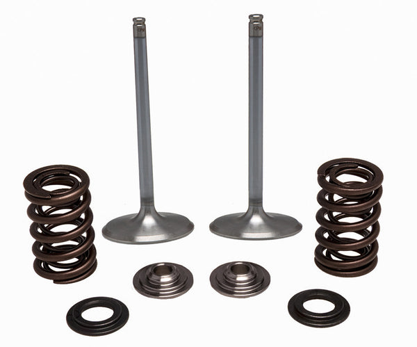 KPMI 发动机 SS INTAKE VALVE/SPRING KIT