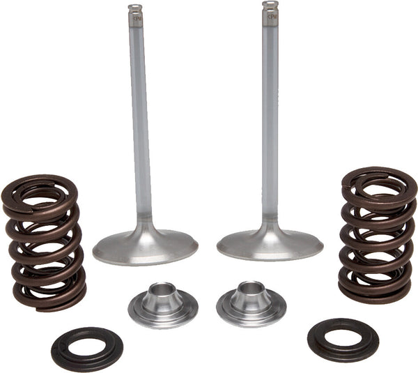 KPMI 发动机 INTAKE VALVE SPRING KIT