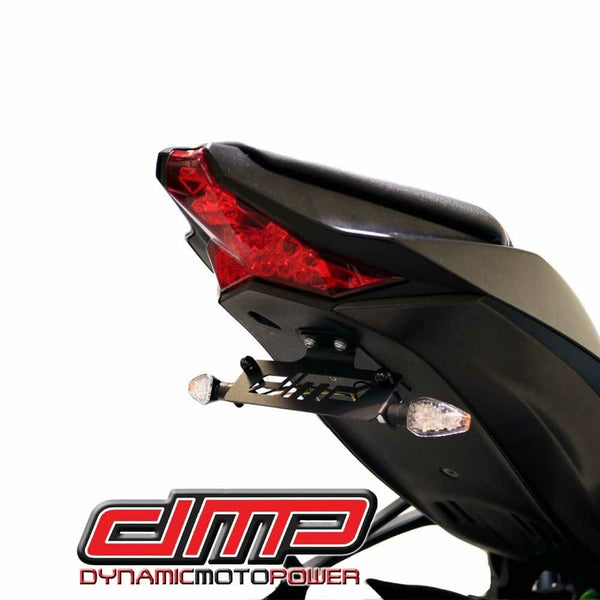 DMP 车身 FENDER ELIMINATOR KIT 黑 W/LIGHTS