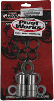 PIVOT WORKS 避震 SWINGARM KIT