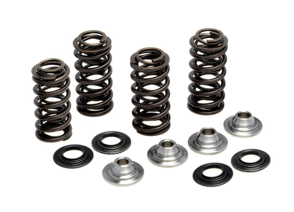 KPMI 发动机 RACING VALVE SPRING KIT YAM